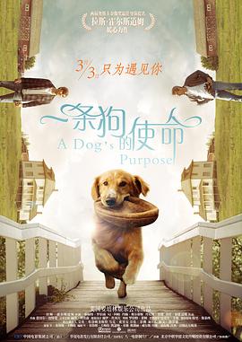 夜动免费视频